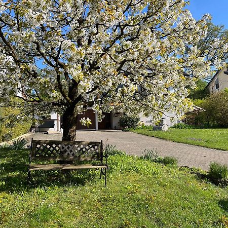 Ferienwohnung Am Kirschbaum Ульдинген-Мюльхофен Экстерьер фото