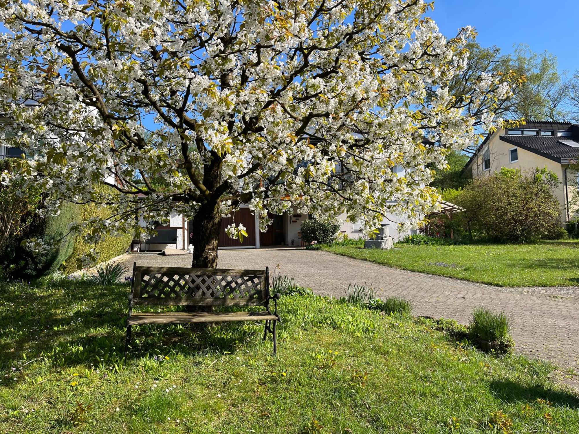 Ferienwohnung Am Kirschbaum Ульдинген-Мюльхофен Экстерьер фото